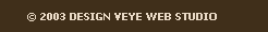 � 2003 Design by VEYE Web Studio